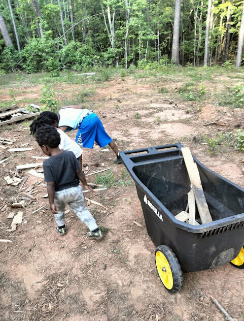 Prioritizing a Healthy Environment